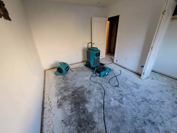 Best Emergency water extraction  in Bardonia, NY