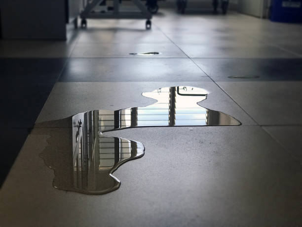 Best Professional water damage repair  in Bardonia, NY
