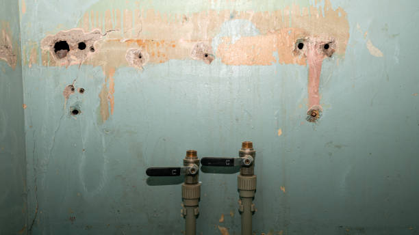 Best Mold removal after water damage  in Bardonia, NY