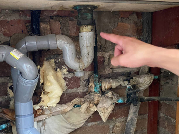 Best Water damage cleanup near me  in Bardonia, NY