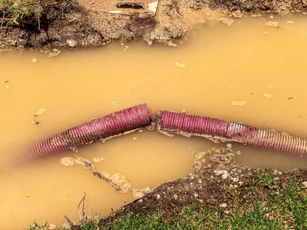  Bardonia, NY Water damage restoration Pros