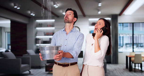 Best Flood damage cleanup  in Bardonia, NY